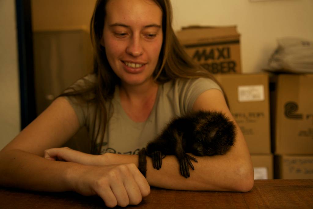 Série do canal Animal Planet mostra resgates dramáticos de animais silvestres