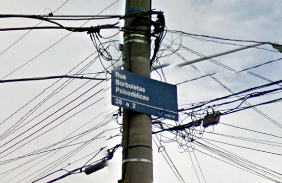 rua-borboletas-psicodelicas_google