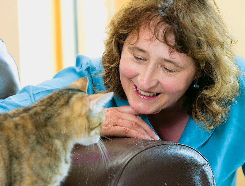 Estudo mostra que donos de animais cometem erros por falta de informação