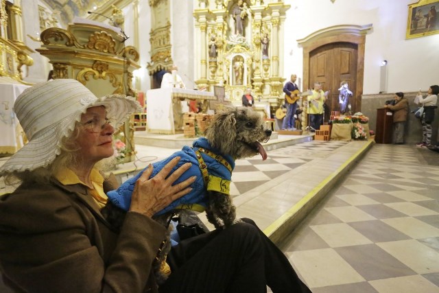 Igreja de São Paulo distribui ‘ração benta’ no Dia de São Francisco de Assis