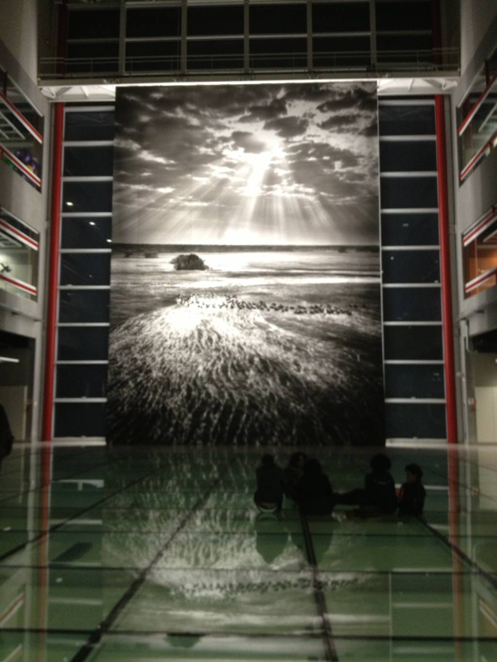 Sebastião Salgado para crianças