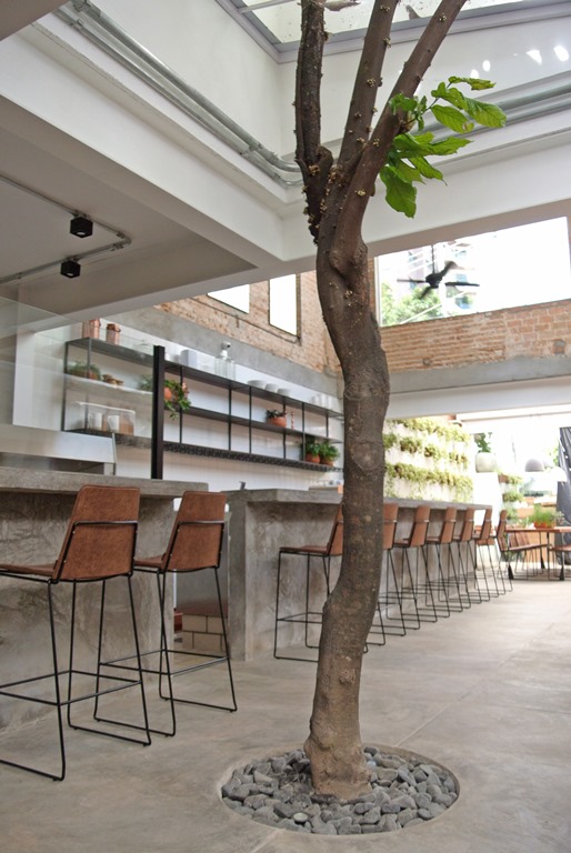 A forneria caçula do Figo