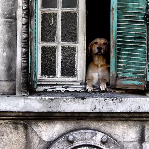 Fotos vencedoras da missão “Janelas que se abrem para a cidade”