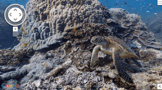 Google lança uma versão subaquática do Street View