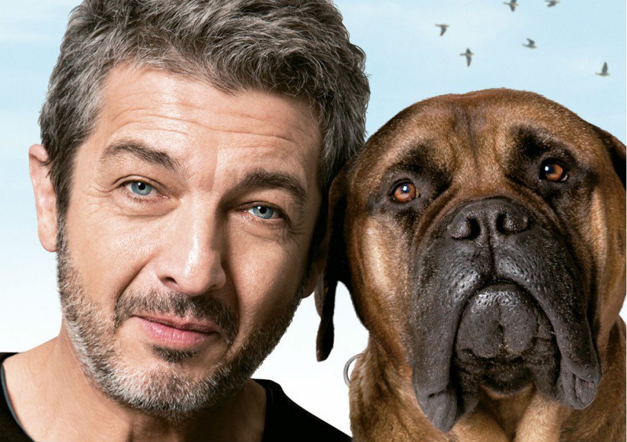 Saiba como pagar meia-entrada para ver o ótimo filme ‘Truman’, com Ricardo Darín