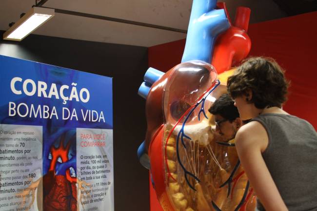 Vias do Coração