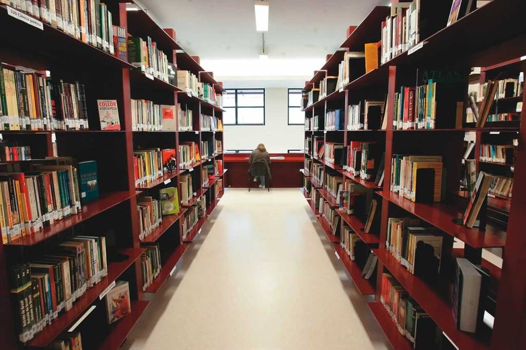 Confira um roteiro de livrarias de rua e bibliotecas com acervos temáticos