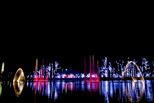 Sem árvore tradicional, Parque Ibirapuera cria nova decoração natalina