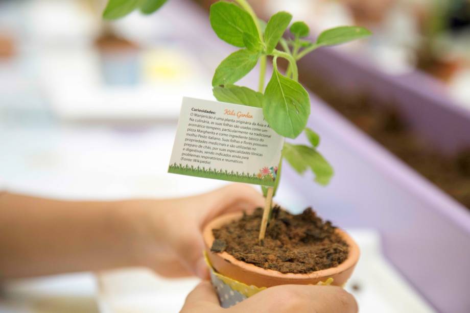 Crianças de 4 a 12 anos poderão aprender a plantar mudinhas e decorar vasos