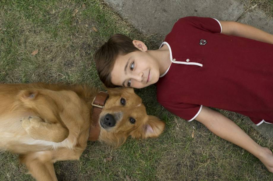 'Quatro Vidas de um Cachorro'