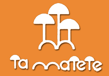 dance-tamatete dance-tamatete