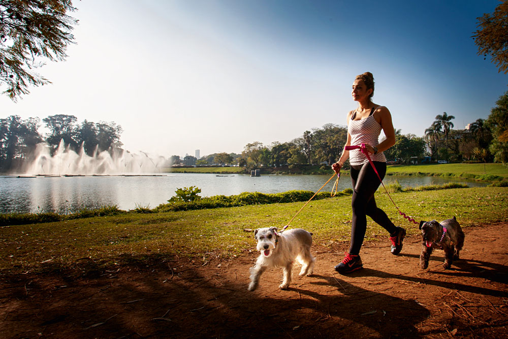 5 parques para levar os cães nas férias em SP