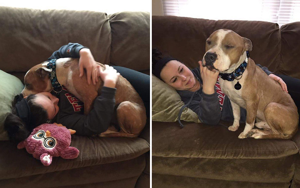 pit_bull_resgatado_04