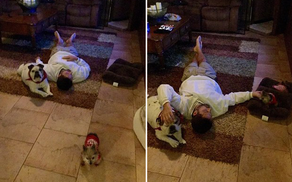 presente_cachorro_02