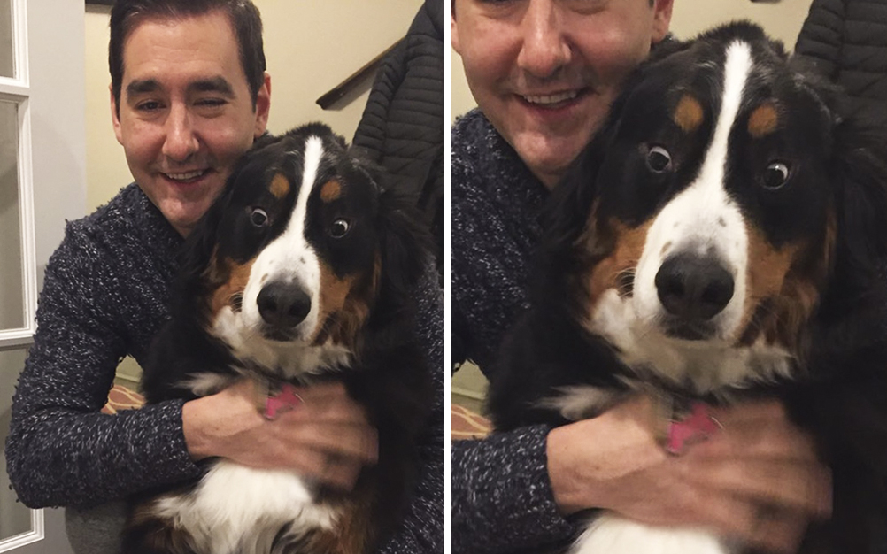 Reação de cão a presente de aniversário chama atenção na internet