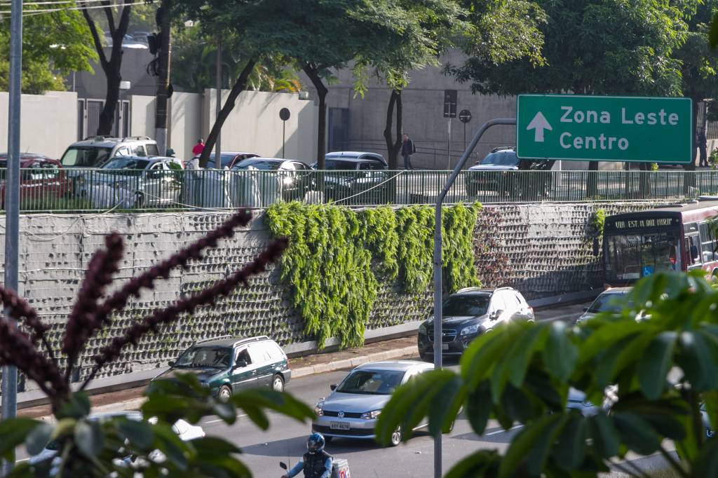 Muro da Avenida 23 de Maio começa a receber plantas