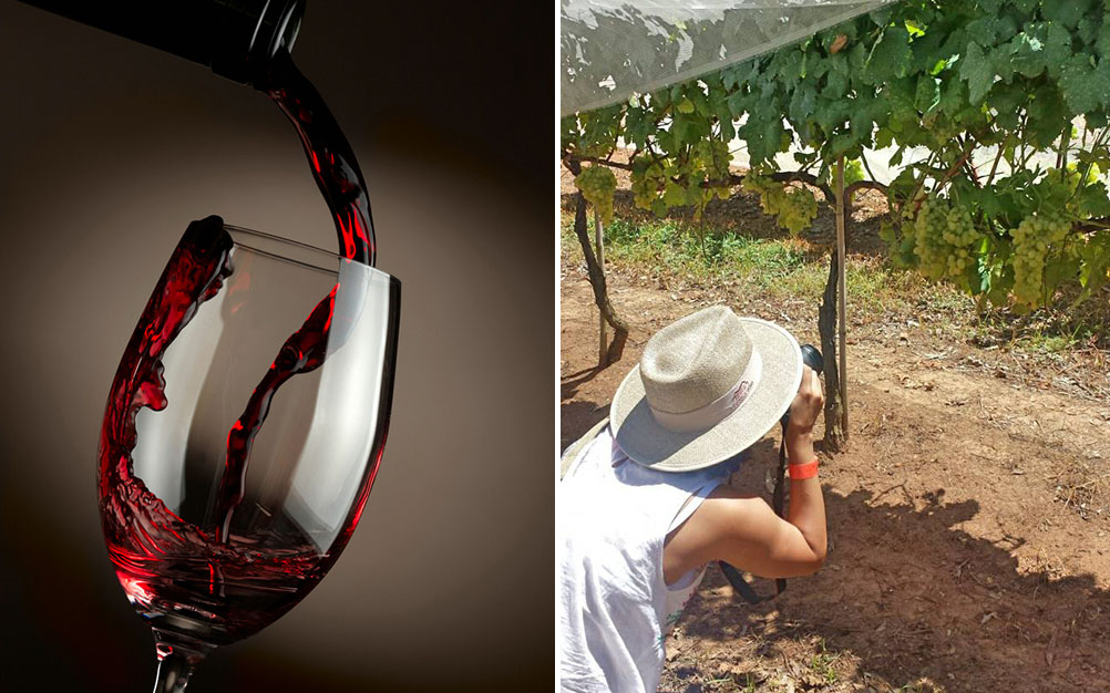 São Roque promove roteiro especial para o Dia Nacional do Vinho