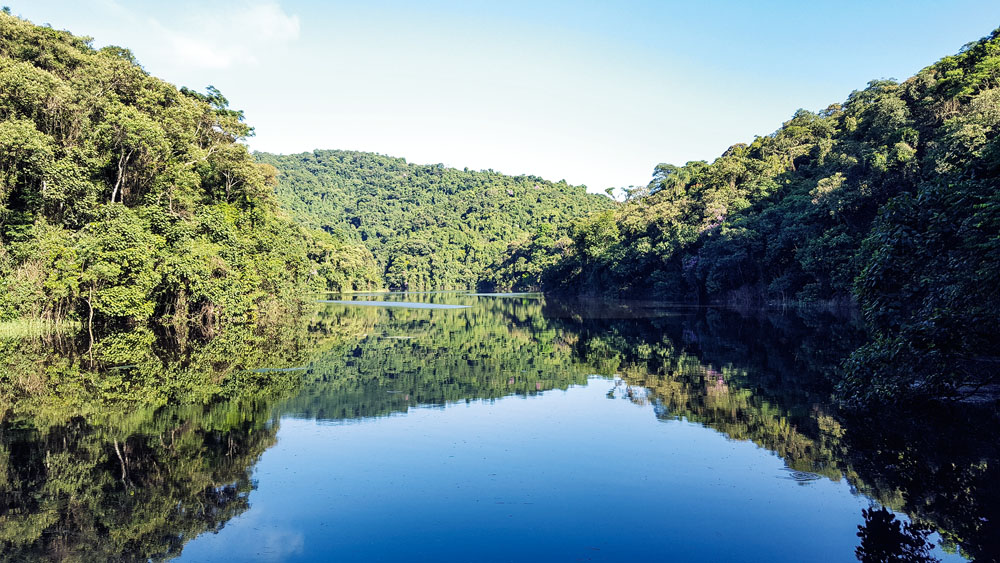 Capital abriga uma das maiores florestas urbanas do mundo
