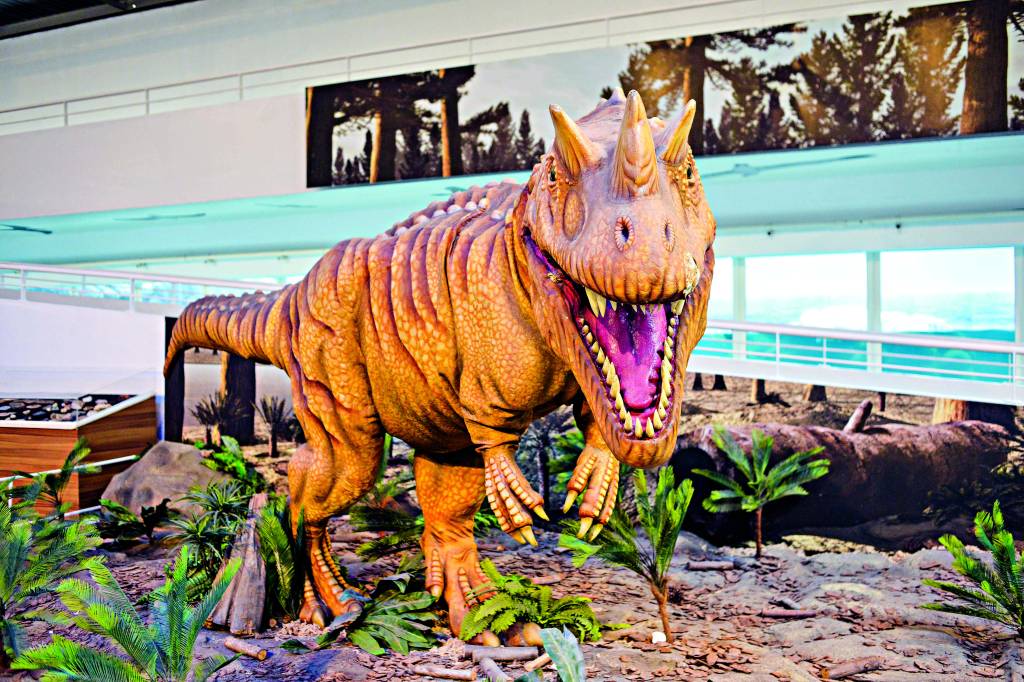 Guia de férias: 40 atrações para se esbaldar durante o recesso