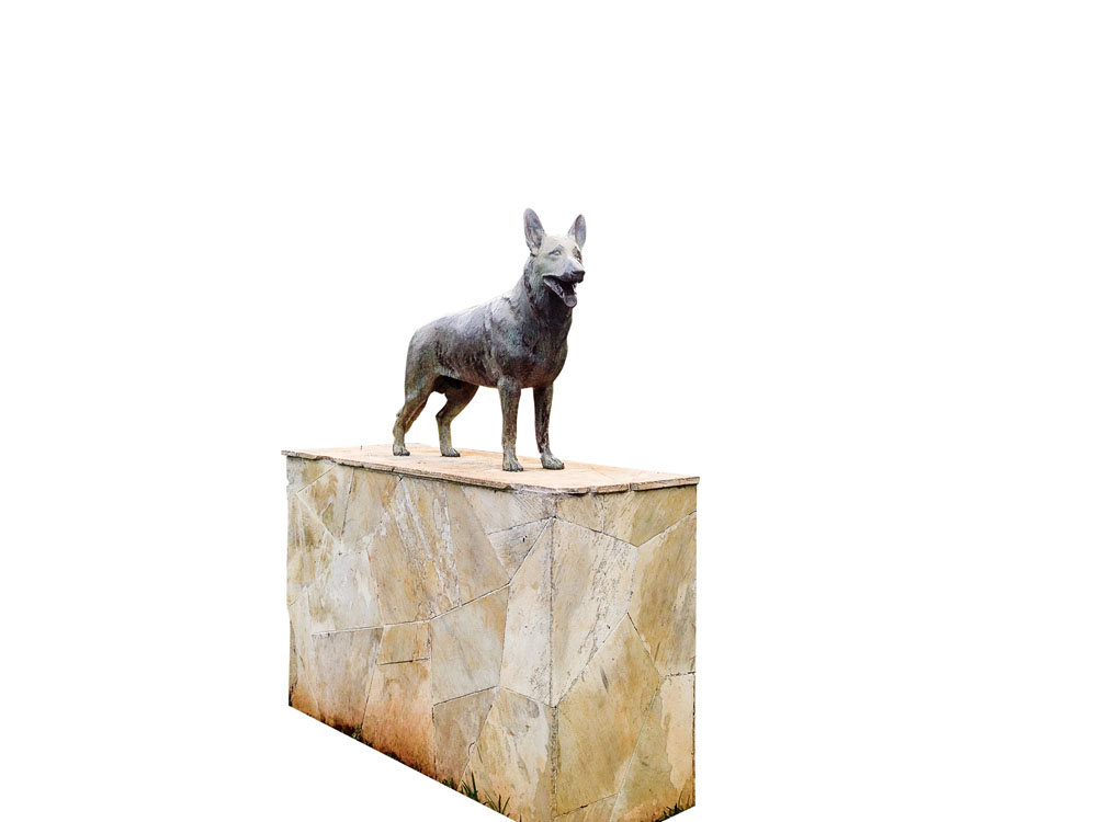 Já reparou na estátua de um pastor alemão no Ibirapuera?