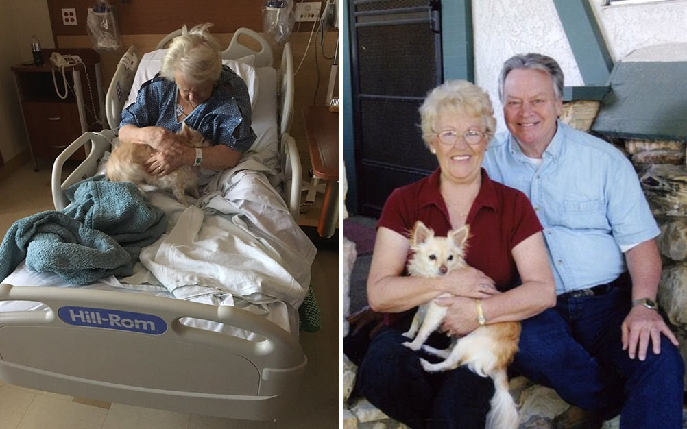 mulher-finge-que-cachorro-e-bebe-03