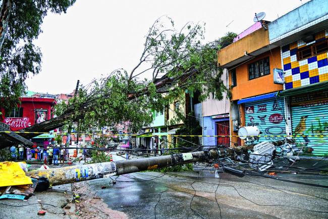 Queda de ¡rvore em SP