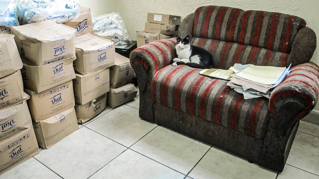 33º DP, em Pirituba: sala do delegado de plantão tem pilha de caixas e até gato 33º DP, em Pirituba: sala do delegado de plantão tem pilha de caixas e até gato