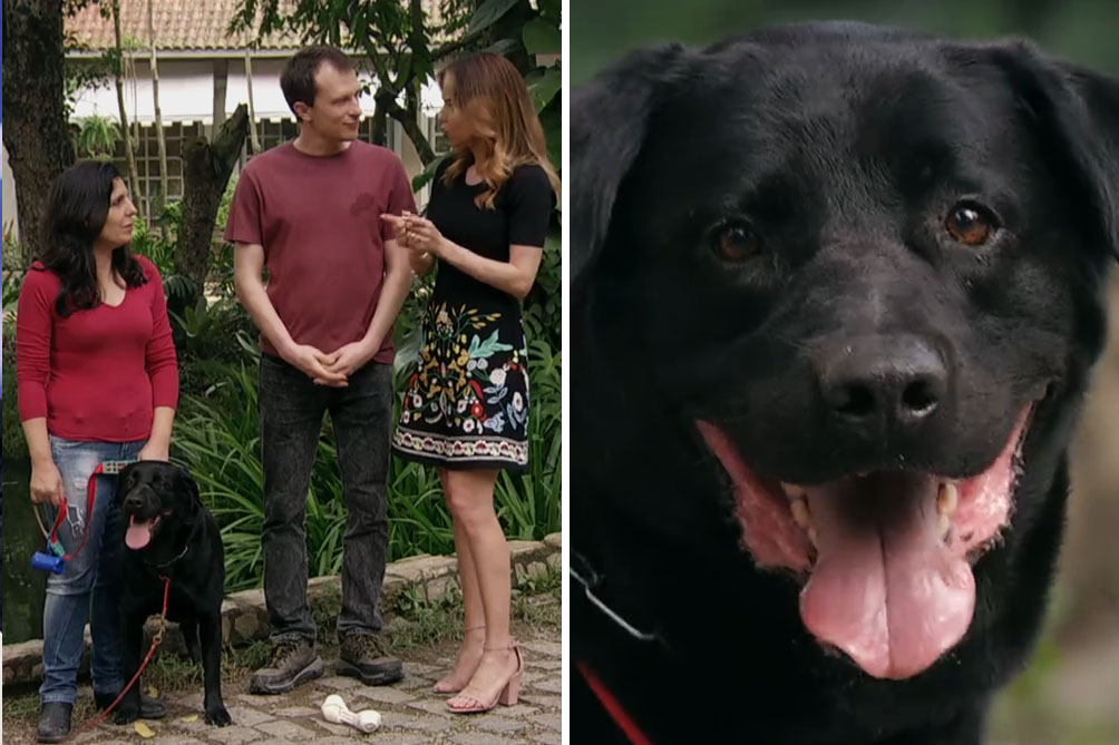 polemica-e-de-casa-cachorro-01