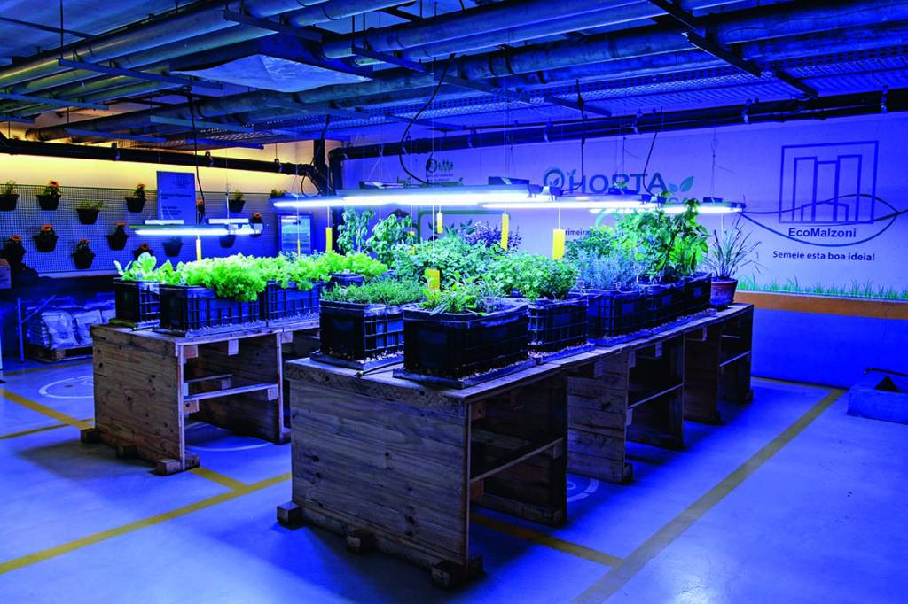 São Paulo tem a primeira horta subterrânea da América Latina