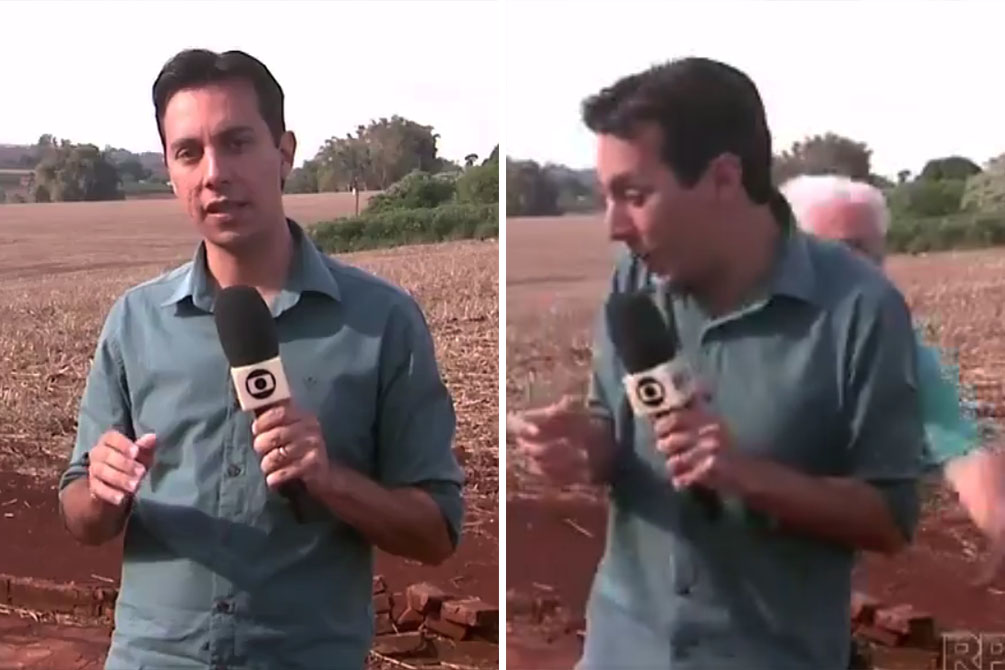 Jornalista leva susto durante reportagem ao vivo sobre onça