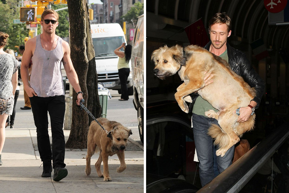 ryan-gosling-homenagem-cachorro-05