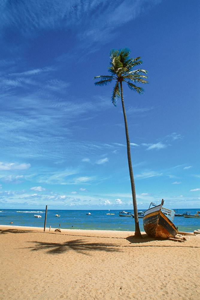 Praia do forte