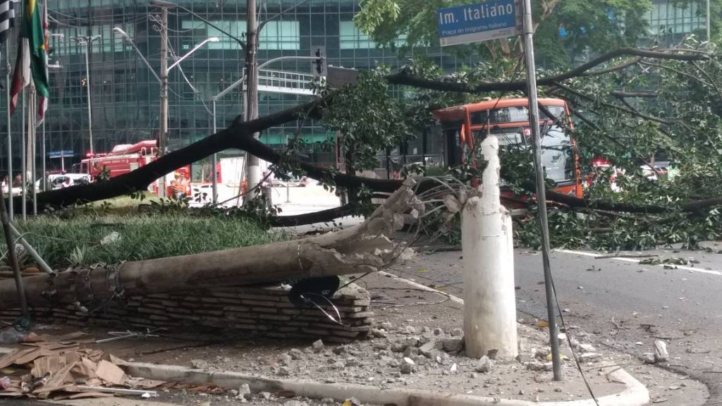 Árvore cai sobre ônibus na Avenida 9 de Julho