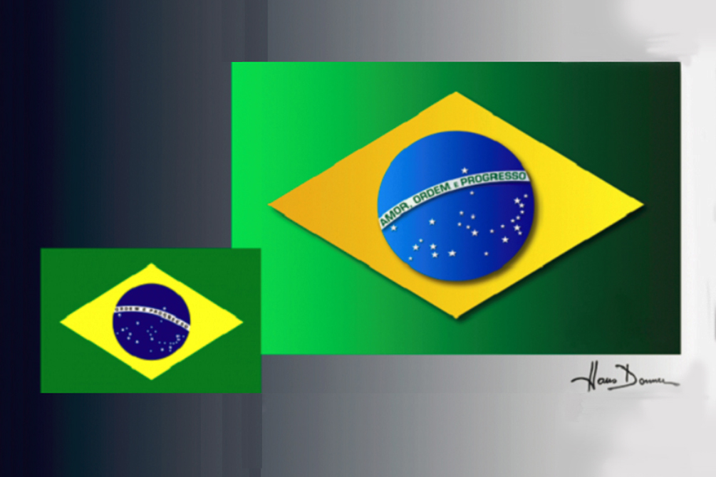 bandeira-brasil-hans-donner-01