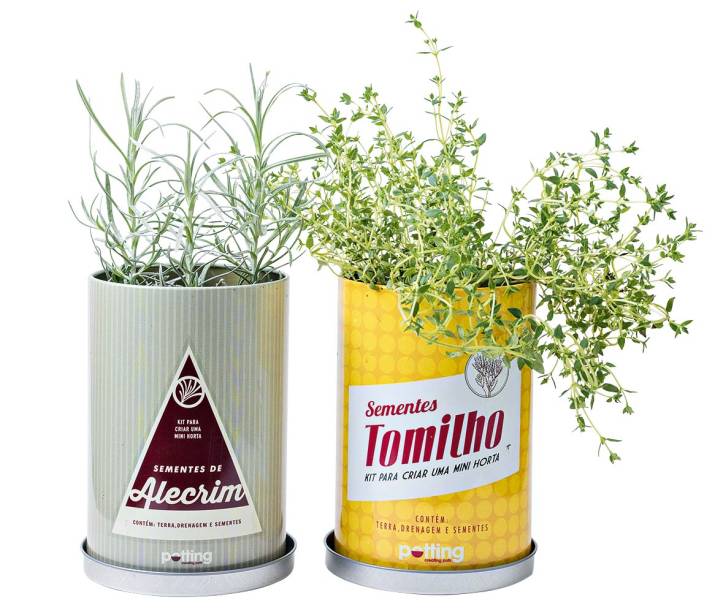 Latas estampadas com kit de sementes, R$ 52,00 cada uma. Casaquetem. Latas estampadas com kit de sementes, R$ 52,00 cada uma. Casaquetem.