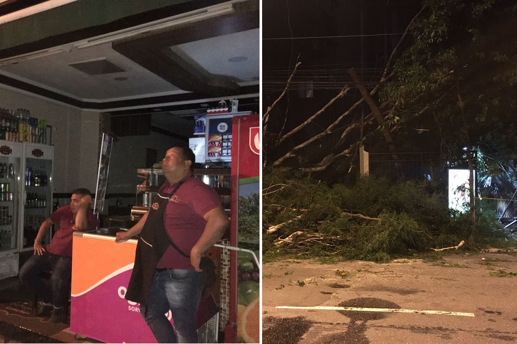 Queda de árvore interdita e deixa sem luz a Rua Tabapuã