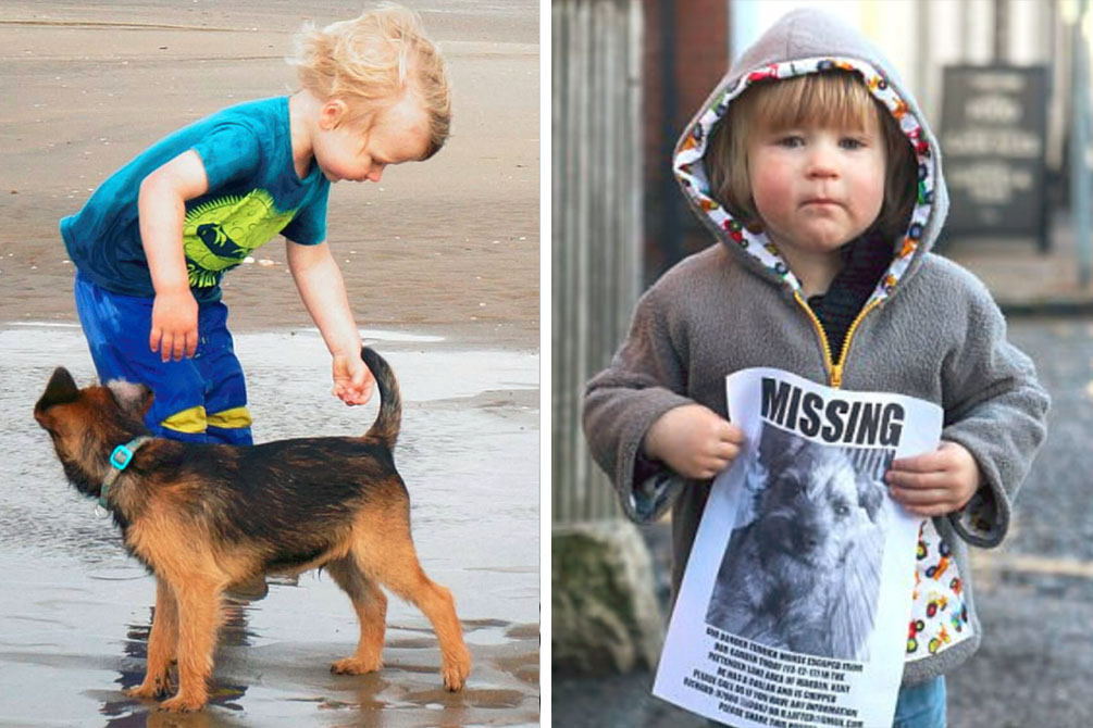 apelo-papai-noel-cachorro-03