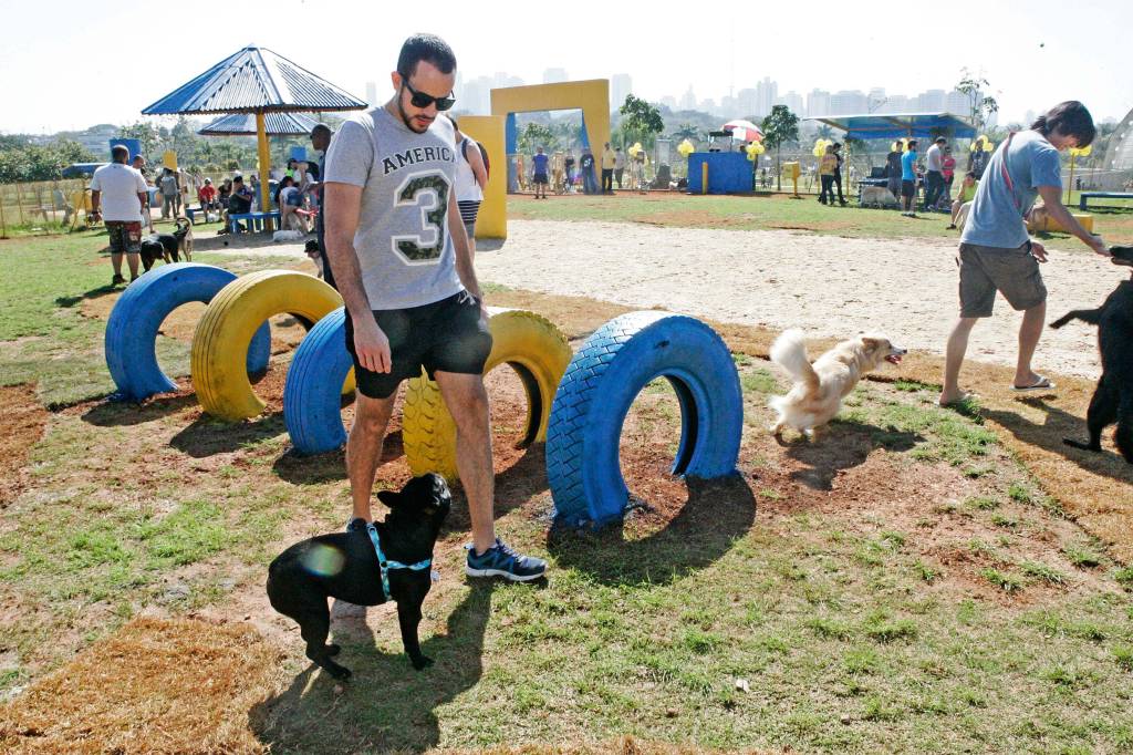Três lugares a céu aberto para passear com seu cãozinho