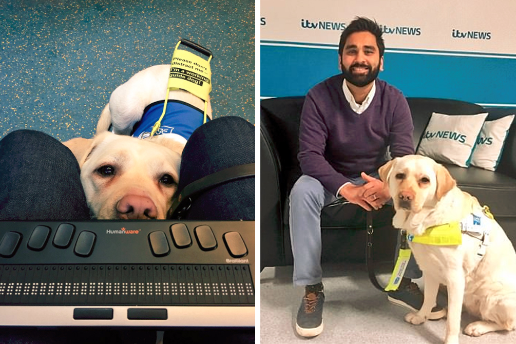 desabafo-cao-guia-01