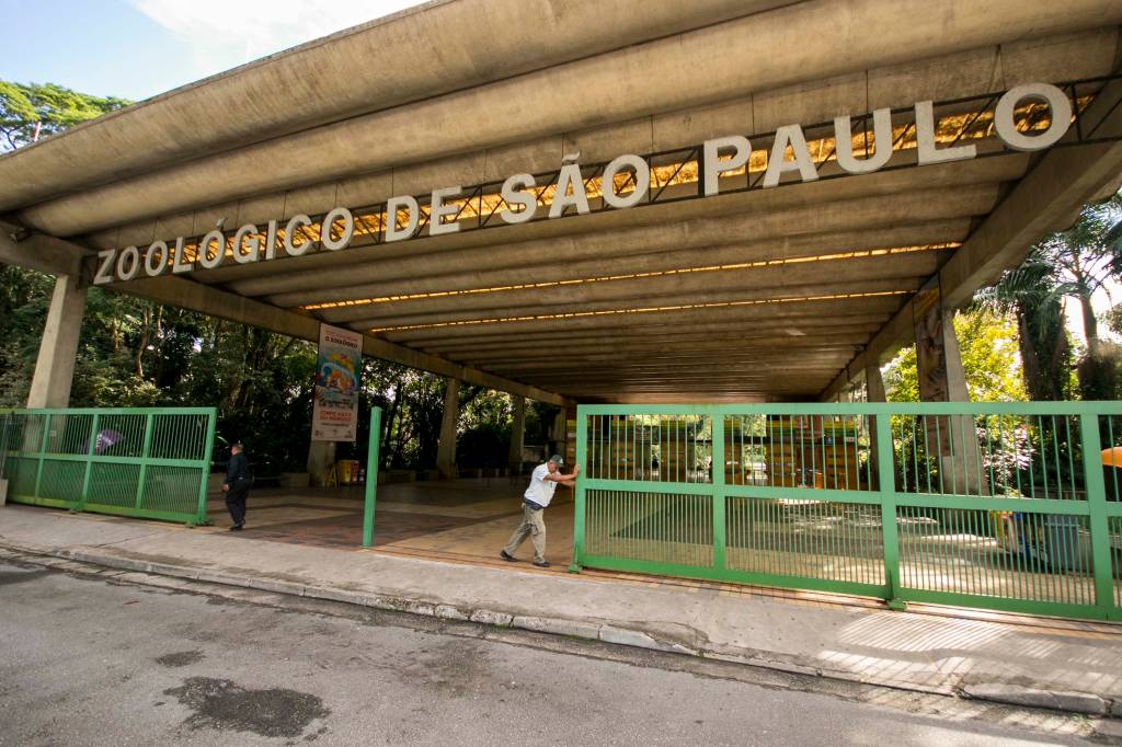 Após 51 dias fechado, Zoológico de São Paulo é reaberto