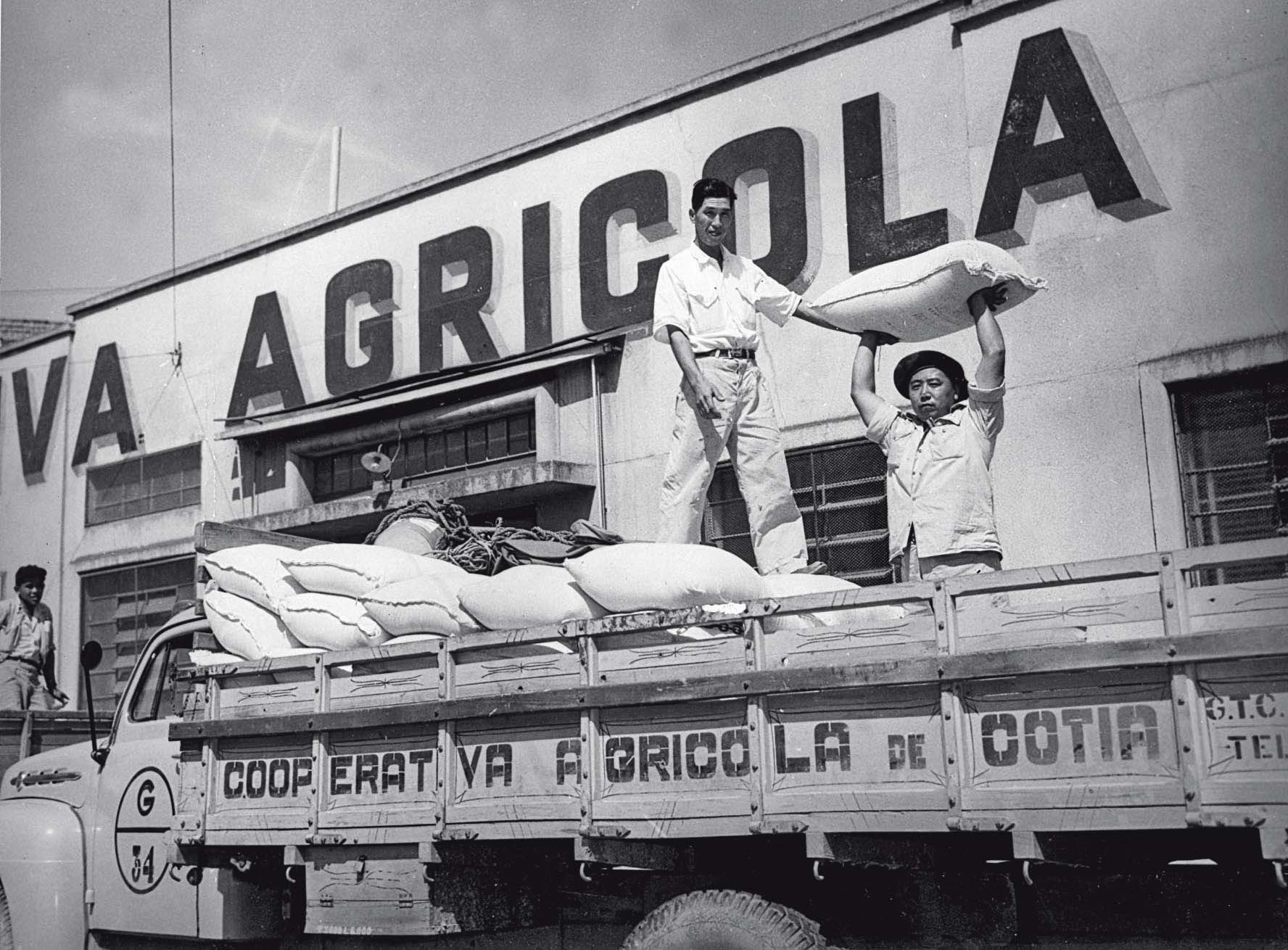 Imigra&ccedil;&atilde;o Japonesa