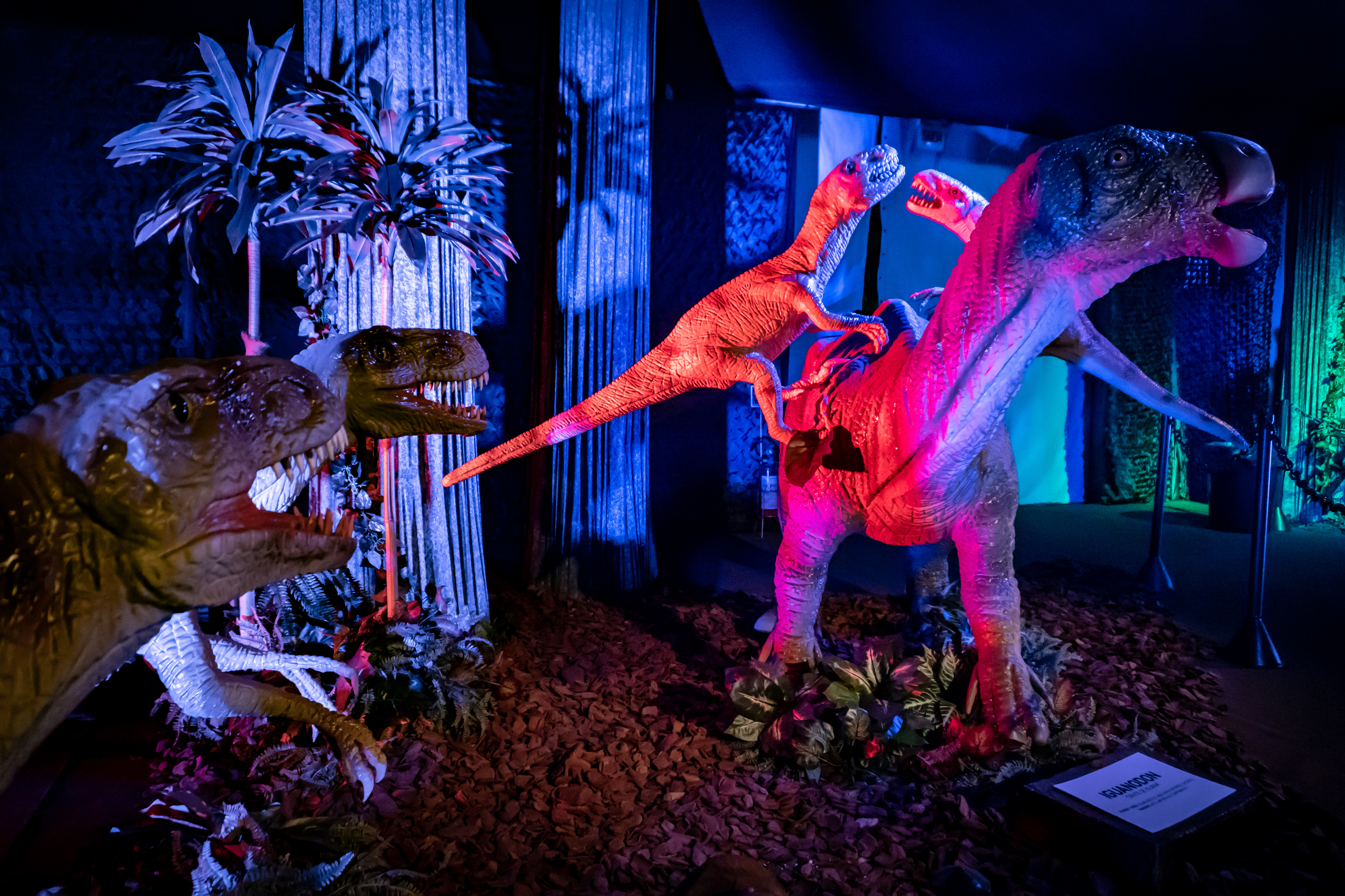 exposi&ccedil;&atilde;o dinossauros