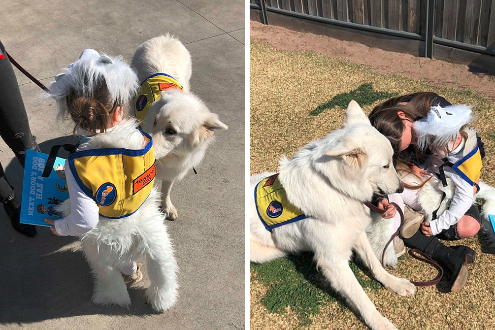 A história da fantasia de uma menina de 4 anos está emocionando a web