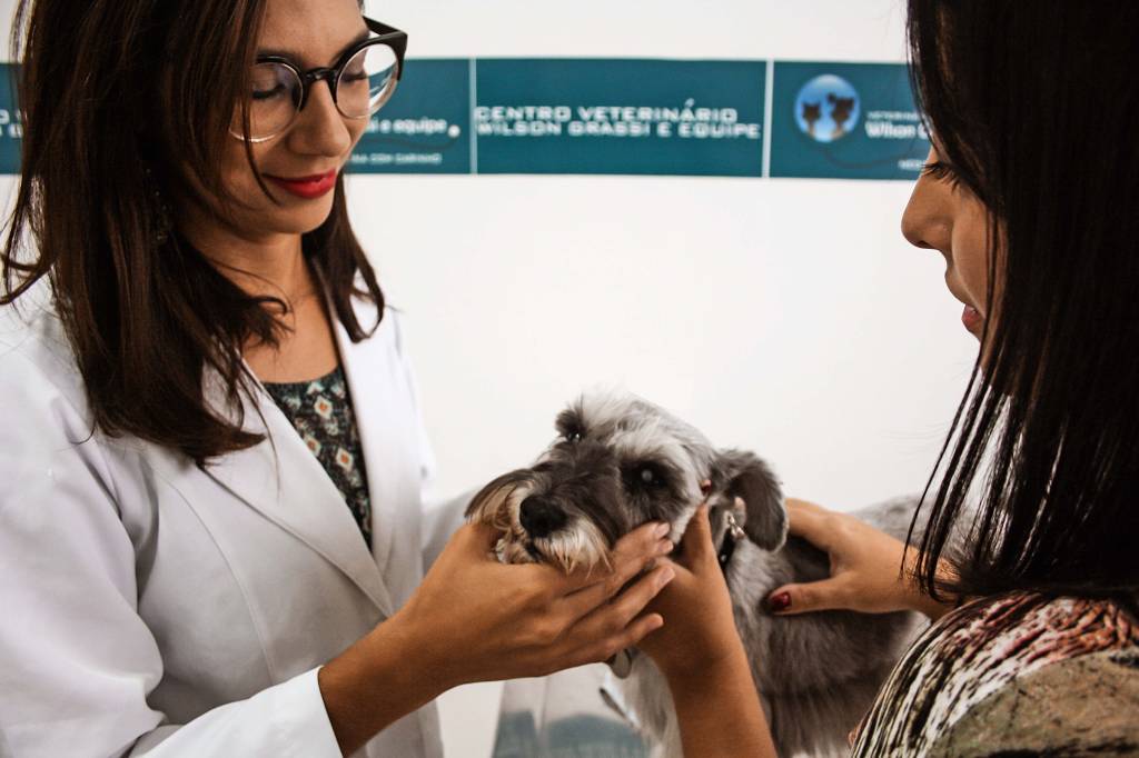 Veterinário cria rede de treze clínicas e plano de saúde para pets