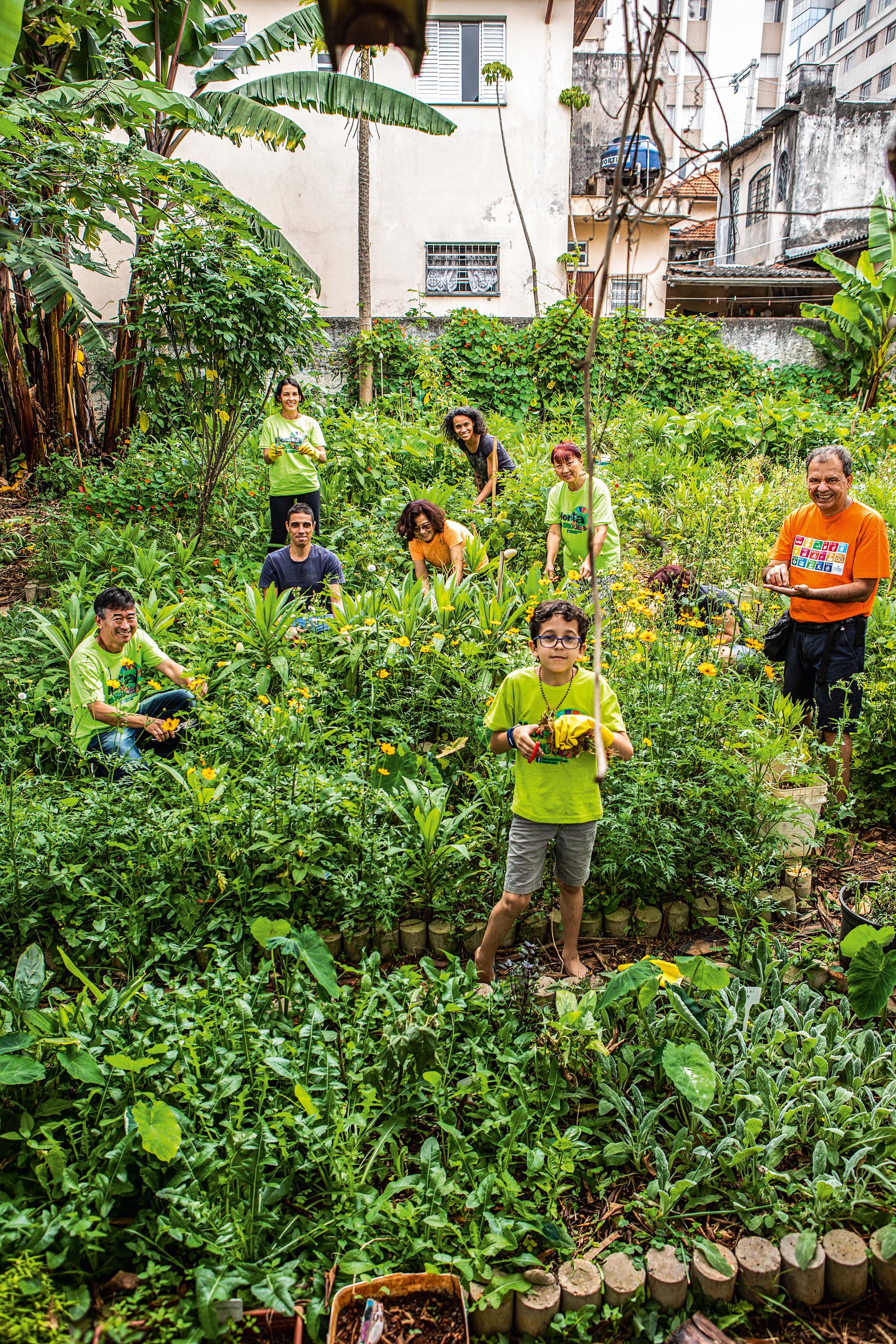 Horta Comunit&aacute;ria da Sa&uacute;de _ Coletivos Urbanos
