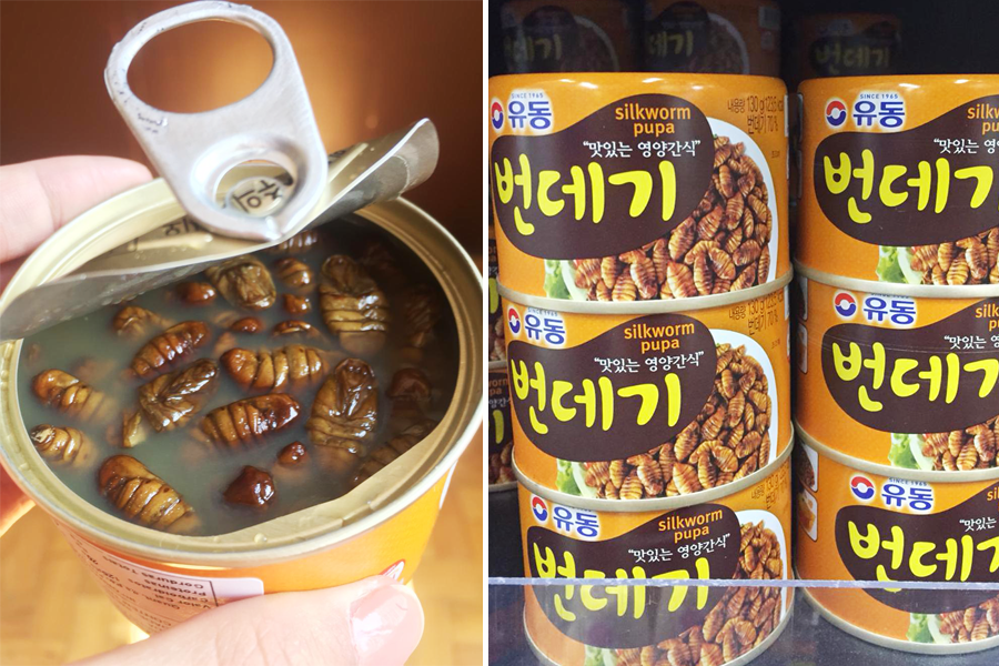 Bicho-de-seda e outros cinco produtos coreanos encontrados no Bom Retiro