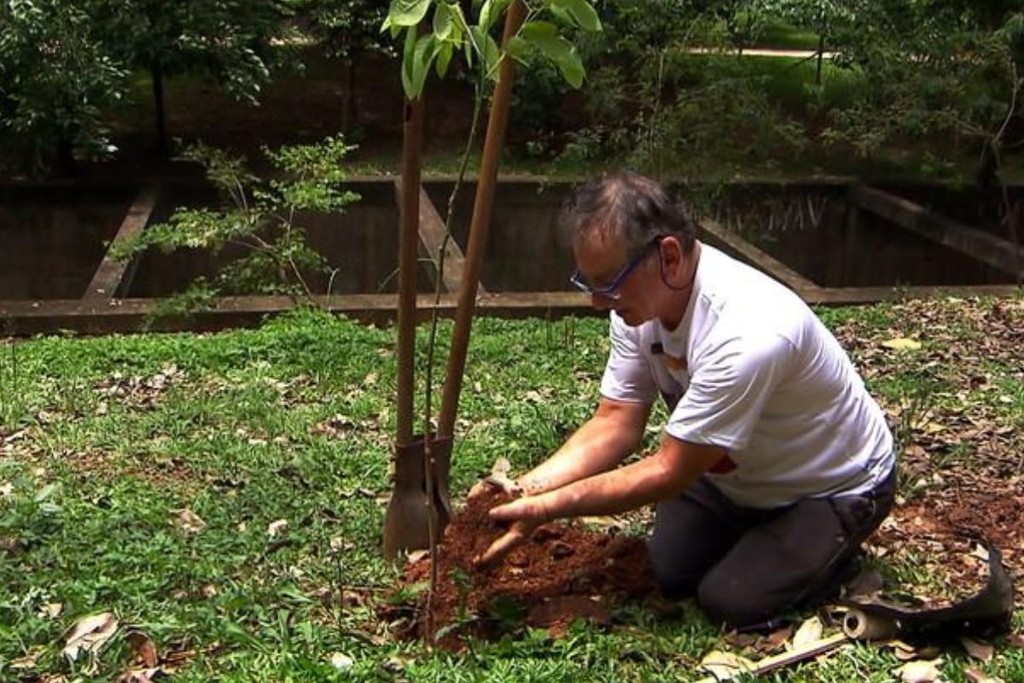 Empresário planta 27 000 mudas por conta própria em parque de SP