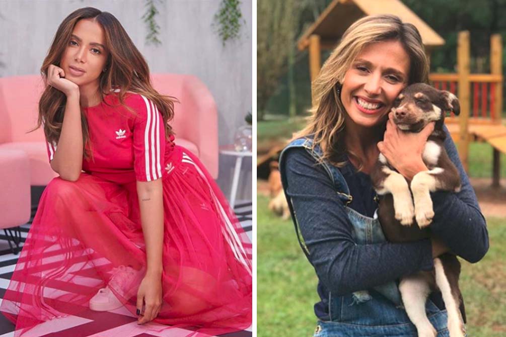 Luisa Mell desabafa no Instagram após ameaças ao cão de Anitta, Plínio