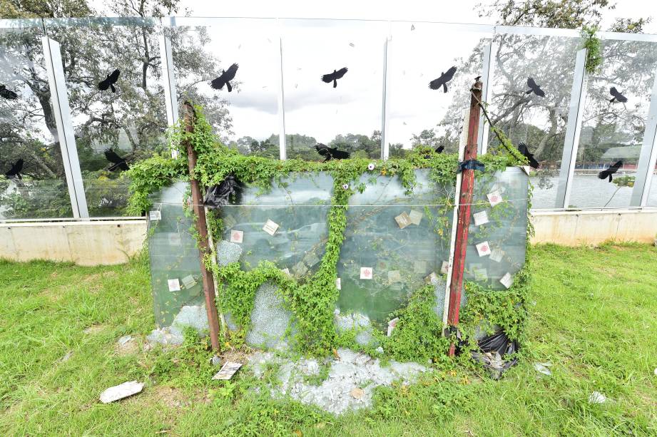 Placas de vidro que seriam usadas para manutenção: envolvidas por trepadeiras Placas de vidro que seriam usadas para manutenção: envolvidas por trepadeiras