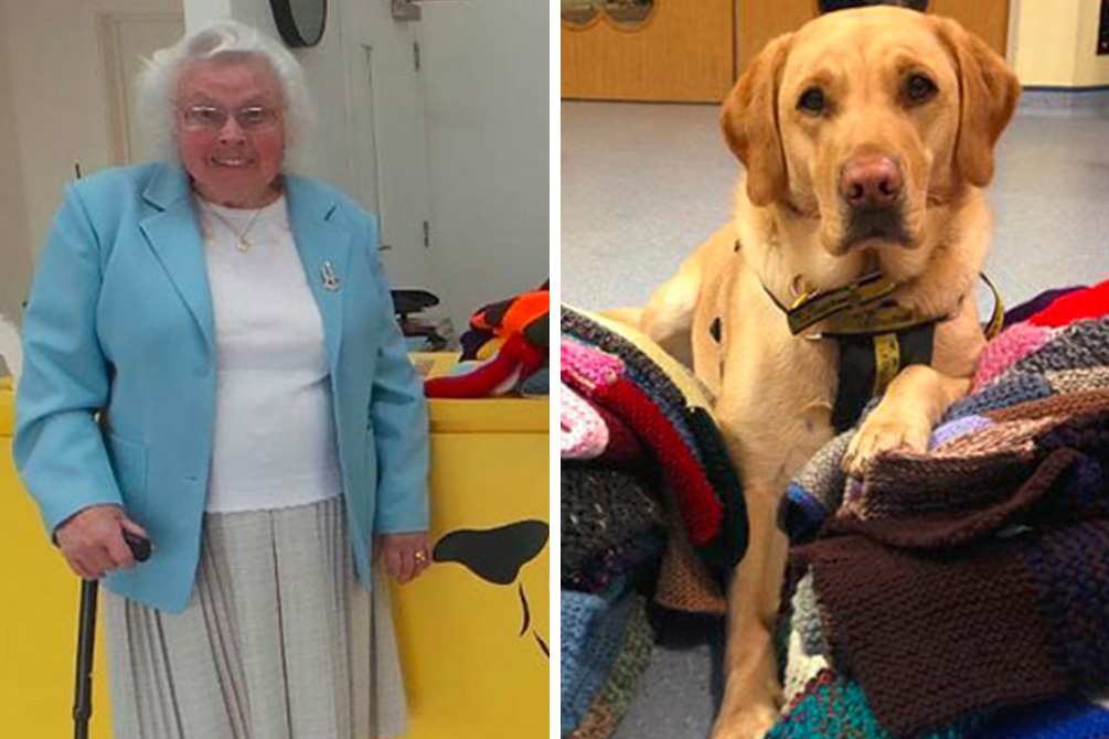 Mulher já tricotou mais de 450 cobertores para cachorros esperando adoção